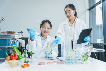 Two Asian women in a lab work on food research, using a microscope, petri dish, and test tubes filled with chemical solutions. They study vegetables, pork, and plants for GMO traits and nutrition.