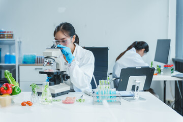 Two Asian women in a lab work on food research, using a microscope, petri dish, and test tubes filled with chemical solutions. They study vegetables, pork, and plants for GMO traits and nutrition.