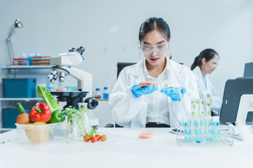 Two Asian women in a lab work on food research, using a microscope, petri dish, and test tubes filled with chemical solutions. They study vegetables, pork, and plants for GMO traits and nutrition.