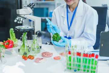 Fototapeta premium Two Asian women in a lab work on food research, using a microscope, petri dish, and test tubes filled with chemical solutions. They study vegetables, pork, and plants for GMO traits and nutrition.