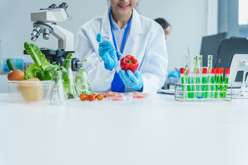 Two Asian women in a lab work on food research, using a microscope, petri dish, and test tubes filled with chemical solutions. They study vegetables, pork, and plants for GMO traits and nutrition.