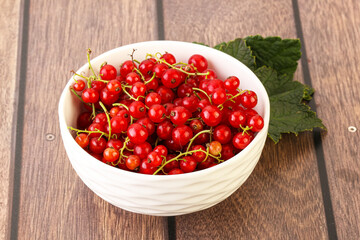 Ripe sweet organic red currant heap