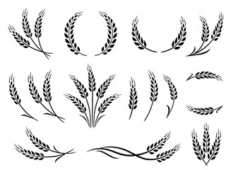 Wheat spikes, barley sheaf with grain set