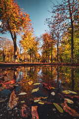 autumn in the prater park in vienna