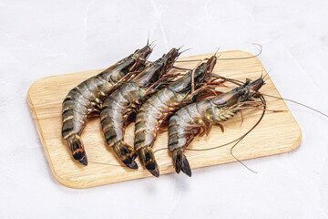 Raw tiger prawn for cooking