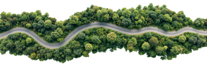 Aerial View of a Curvy Road Winding Through Dense Green Forest – Isolated Scenic Landscape with Lush Trees and Serpentine Path on Transparent Background
