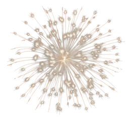 Obraz premium PNG A fireworks illuminated celebration exploding.