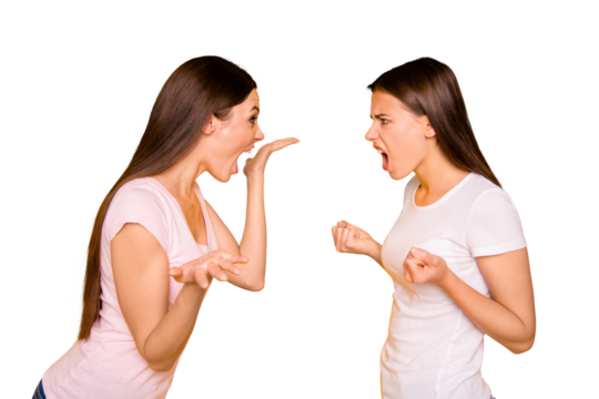 Portrait of nice-looking cute charming attractive irritated annoyed mad frustrated straight-haired girls disagreement having fight scandal claims isolated over bright vivid shine background