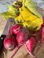 Radish