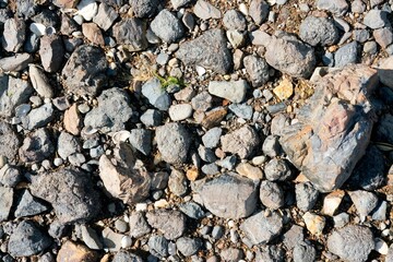 rocky ground texture