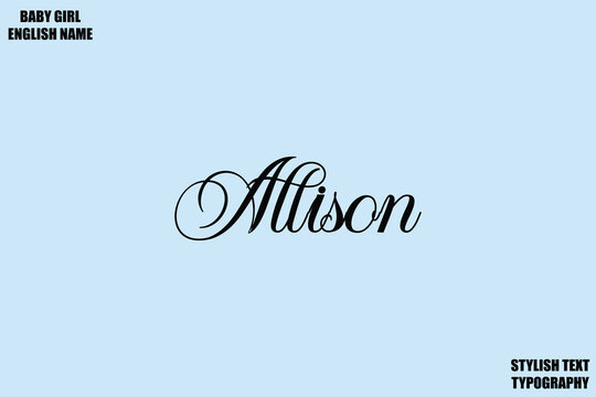 Woman's Name Hand Drawn Lettering Vector Cursive Text Typography  Allison