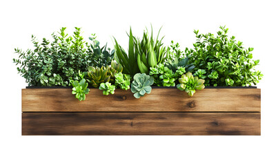 Wooden planter box with plants, on transparent background