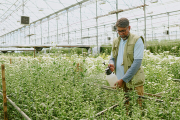 Person in commercial greenhouse tending to plants. Wearing safety gear and using a handheld sprayer...