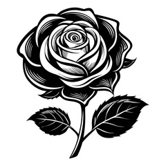 Rose flower, Black silhouette on a white background.