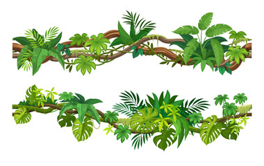 Tropical liana vines and ivy branches with monstera and jungle plant leaves, cartoon vector. Tropical rainforest creeping liana or bindweed tree with climbing branches and hedera tendrils for frame © Vector Tradition