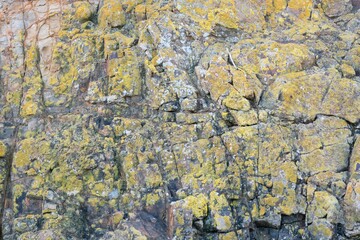 texture of stone