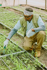 Man tending to vegetable plants in greenhouse environment, wearing gardening gloves and bandana, using garden fork to care for seedlings