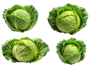 Fototapeta premium cabbage isolated on white background, AI GENERATED 