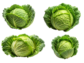 cabbage isolated on white background, AI GENERATED	