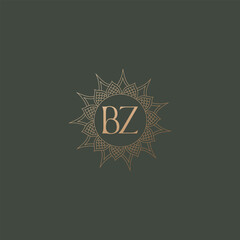 BZ logo design vector image