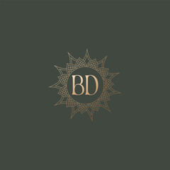 BD logo design vector image