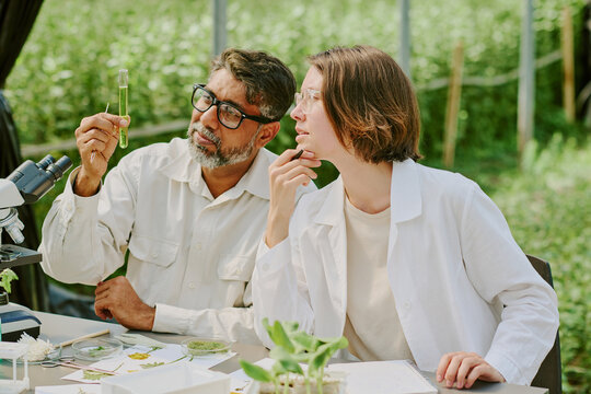 Two scientists analyzing plant samples outdoors, holding test tube and discussing results, surrounded by laboratory equipment and greenery under a shade structure - Powered by Adobe