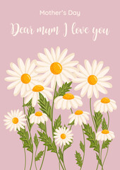 Mother's day greeting card. Several chamomile flowers grow. Botanical vector isolated illustration for postcard, poster, invitation, ad, decor, fabric and other uses. Festive text can be replaced.