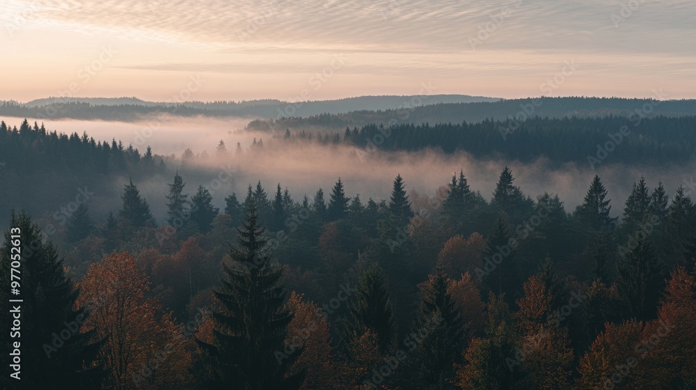 Poster a view of a forest with fog and trees in the distance, ai