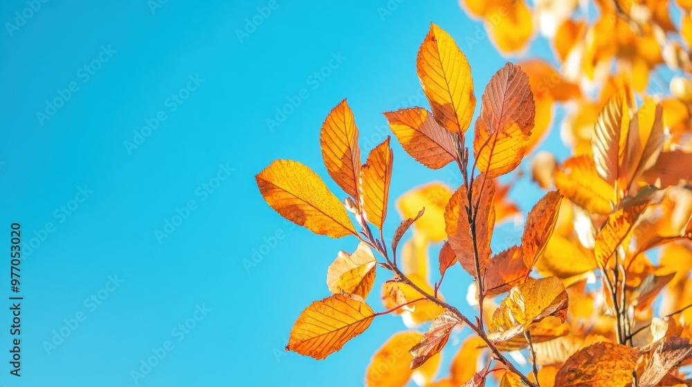 Canvas Prints A close up of a tree with yellow leaves against the blue sky, AI