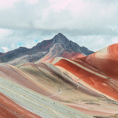 landscape in the morning