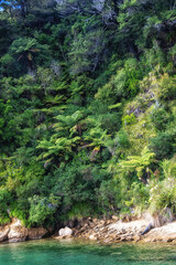 Landscape of Queens Charlotte Sound, Picton New Zealand
