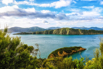 Landscape of Queens Charlotte Sound, Picton New Zealand