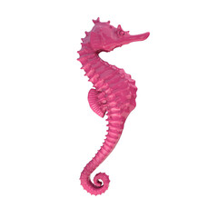 3D Rendered seahorse © Bledi