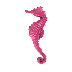 3D Rendered seahorse