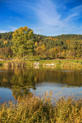 A still lake reflects the blue sky and vibrant autumn trees. The natural beauty and seasonal change of autumn.