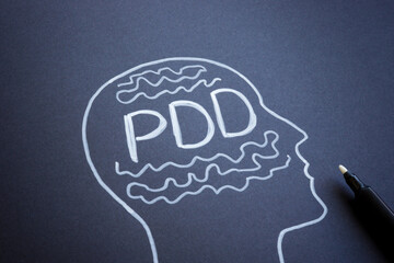 Drawn outline of a head and the abbreviation PDD Persistent Depressive Disorder.