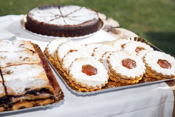 Delicious assorted homemade pastries, sugar-dusted cookies, fruit-filled pie slices, and chocolate cake on trays at outdoor event, dessert, food concept