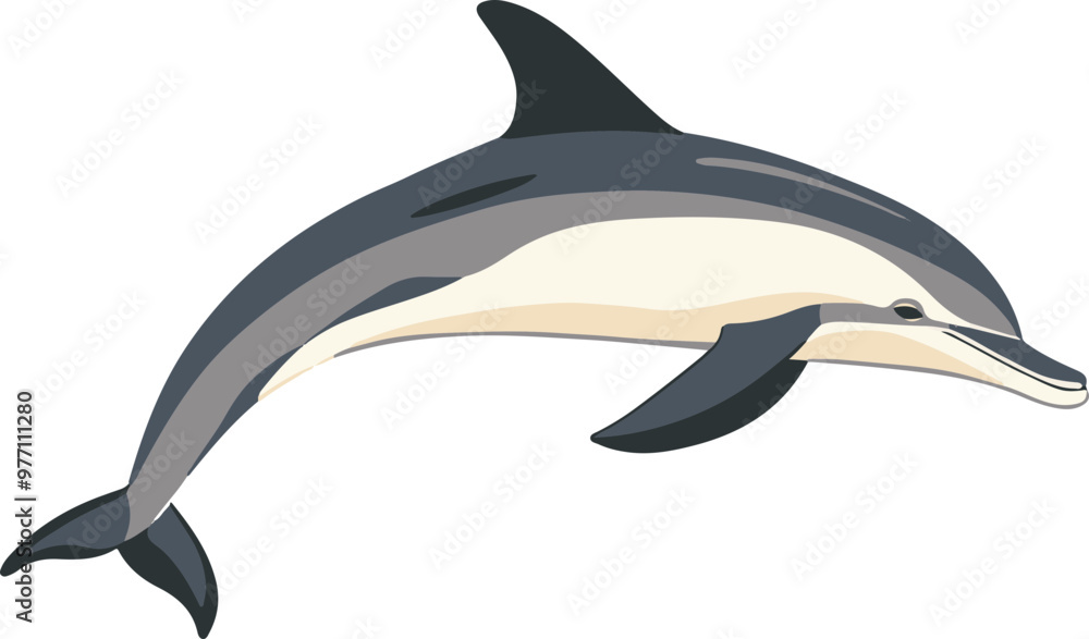 Canvas Prints Vector Dolphin Swimming in Ocean Waves