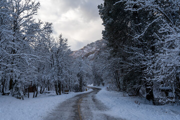 A frozen road winding through a snowy Millcreek Canyon in Salt Lake City, Utah.