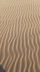 textura de areia nas dunas em tutoia, maranhão