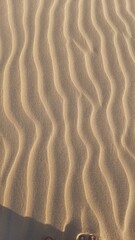 textura de areia nas dunas em tutoia, maranhão