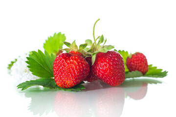 red ripe strawberry spring on a white background