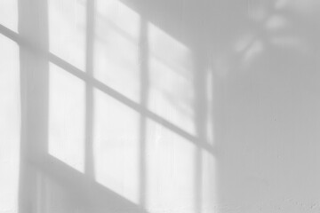 PNG  Soft window light shadow play