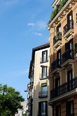 Corners of classical Spanish buildings of beige and brown colours seen through vivid greenery in the center of Madrid, Spain. Vertical photo
