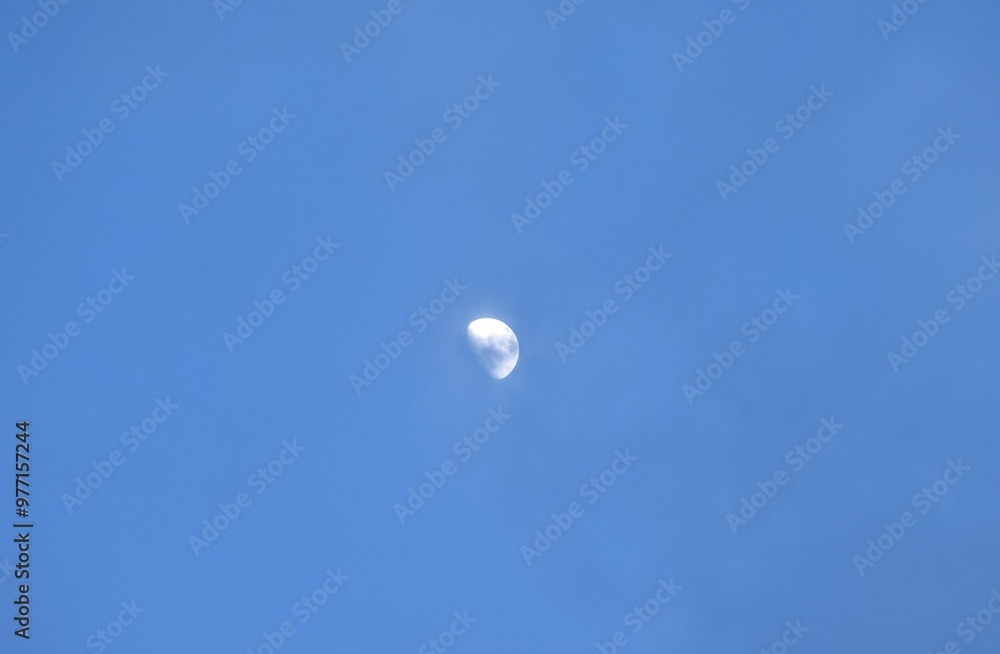 Wall mural half moon floating from rain cloud on sky in twilight background