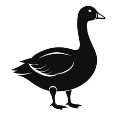 goose isolated on white background