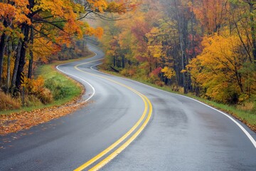 Fototapeta premium A peaceful autumnal woodland road, winding through serene scenery with colorful foliage and quietude.