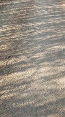 Texturizado manchado da sombra do capinzal no chão.