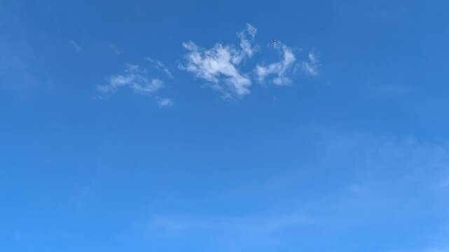 Gabbiano tra le nuvole