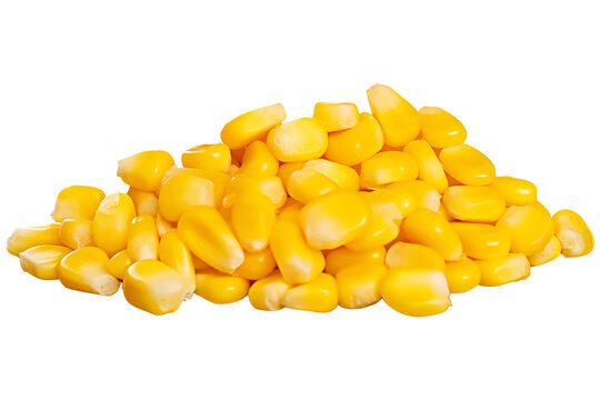 Close Up To a Pile of Yellow corn seeds PNG uncooked corn kernels isolated on white and transparent background - Corn seeds and Maize farming Concept